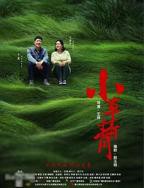 小草青青高清免费观看电视剧大全